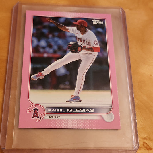 Topps Mini Pink Raisel Igesias 25/25 #173