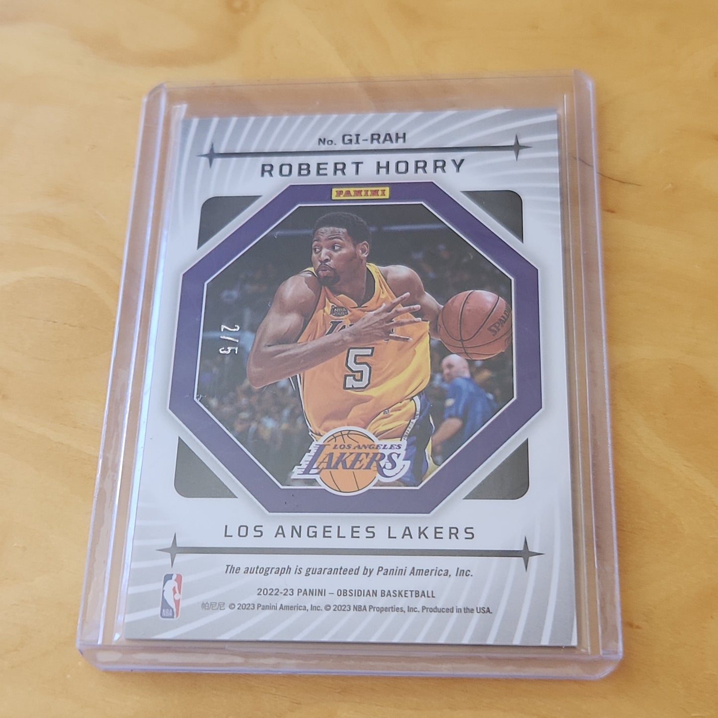 Panini Obsidian Galaxy Robert Horry Auto 2/5 #GI-Rah