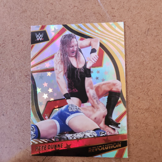 Paninu Revloution Pete Dunne #39 Astro