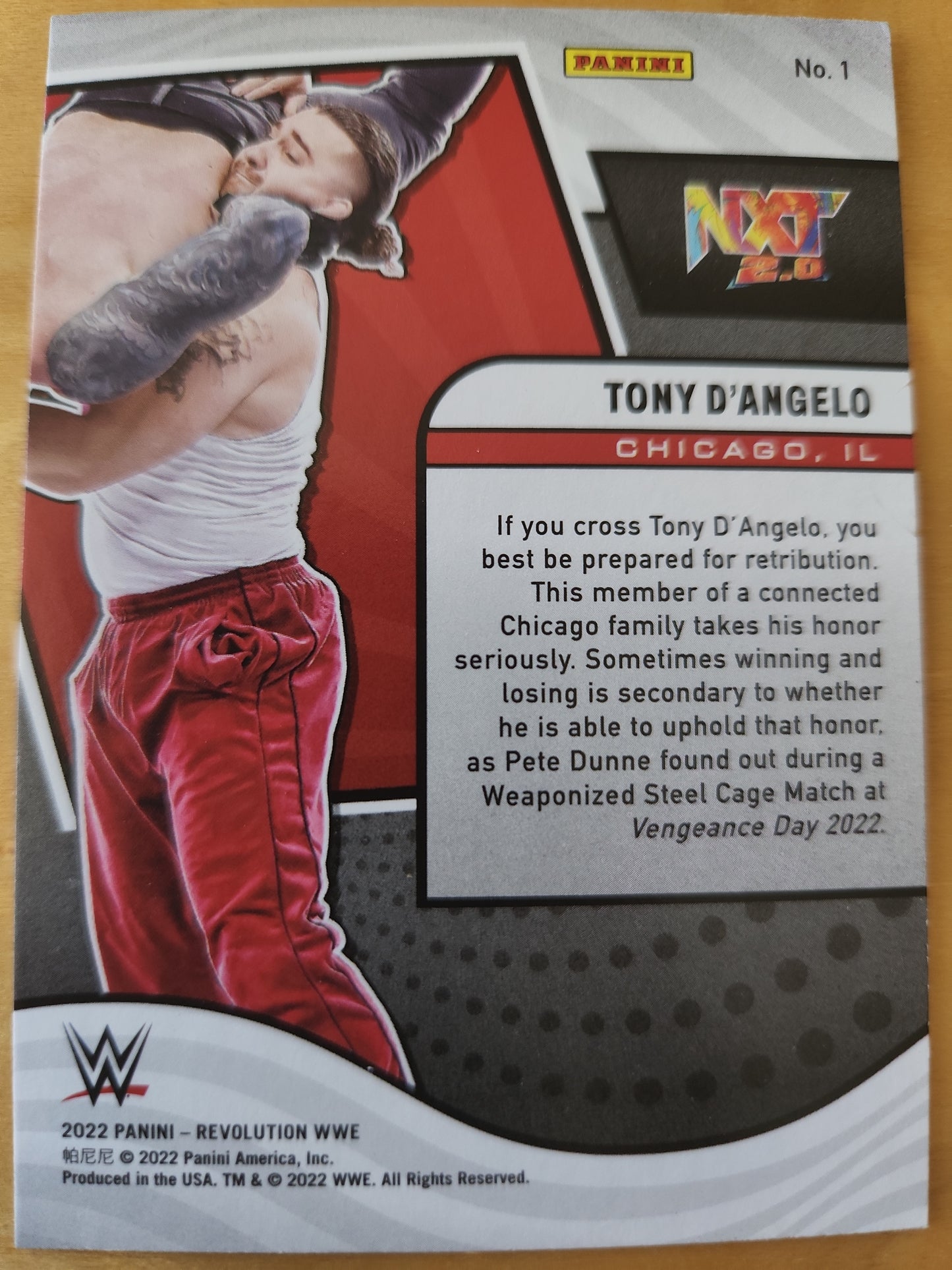 Panini WWE Revolution Tony D'angelo ROOKIE #1
