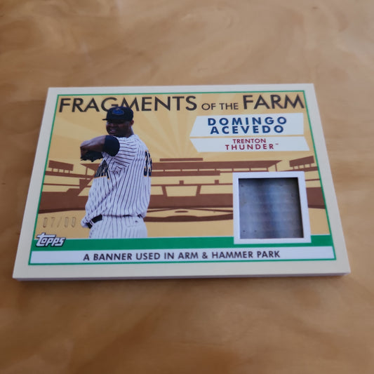 Topps Fragments Of The Fram Domingo Acevedo Relic 07/99 #FOF-TRT
