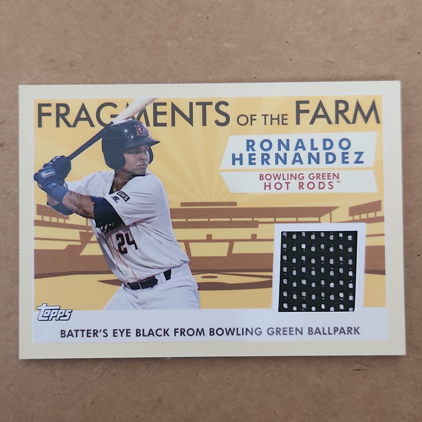 2019 Topps Pro Debut Fragments of the Farm Ronaldo Hernandez #FOF-HR Relic