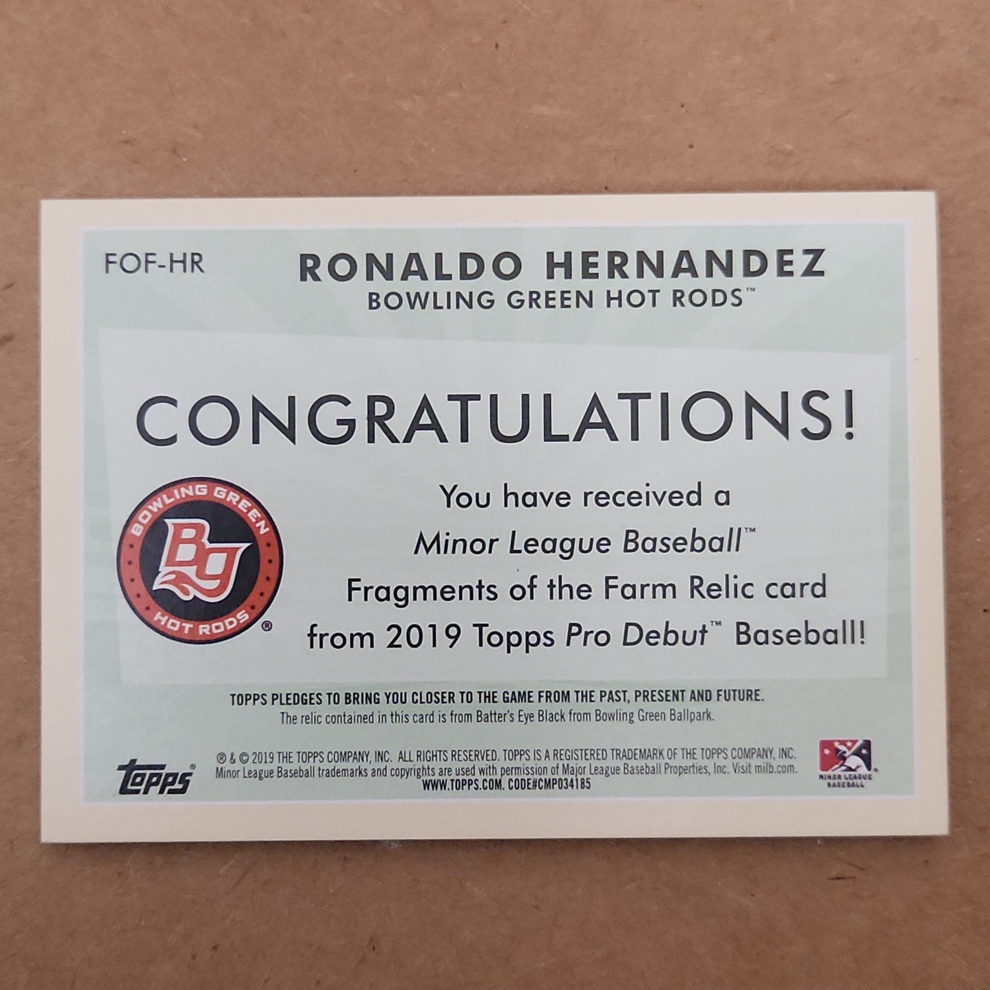 2019 Topps Pro Debut Fragments of the Farm Ronaldo Hernandez #FOF-HR Relic