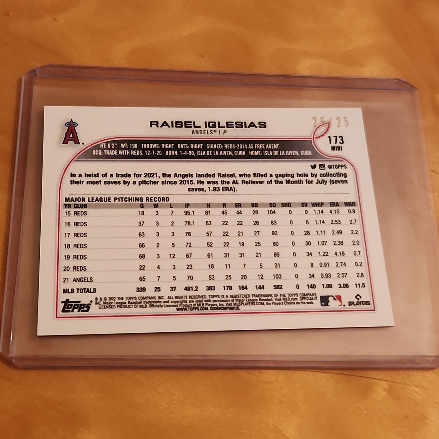 Topps Mini Pink Raisel Igesias 25/25 #173