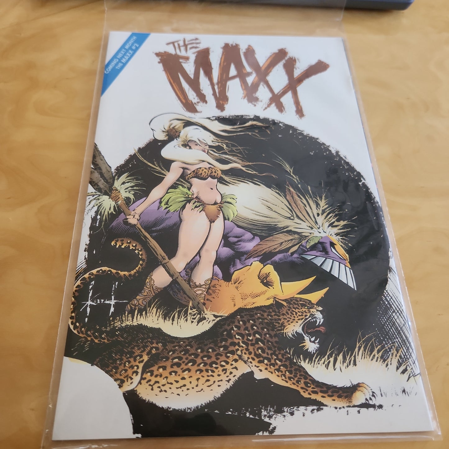 Image The Maxx