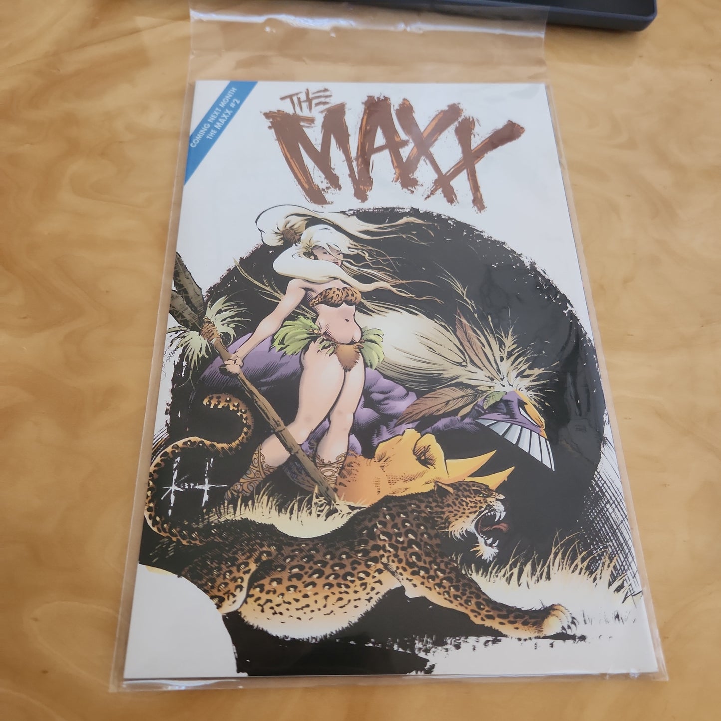 Image The Maxx