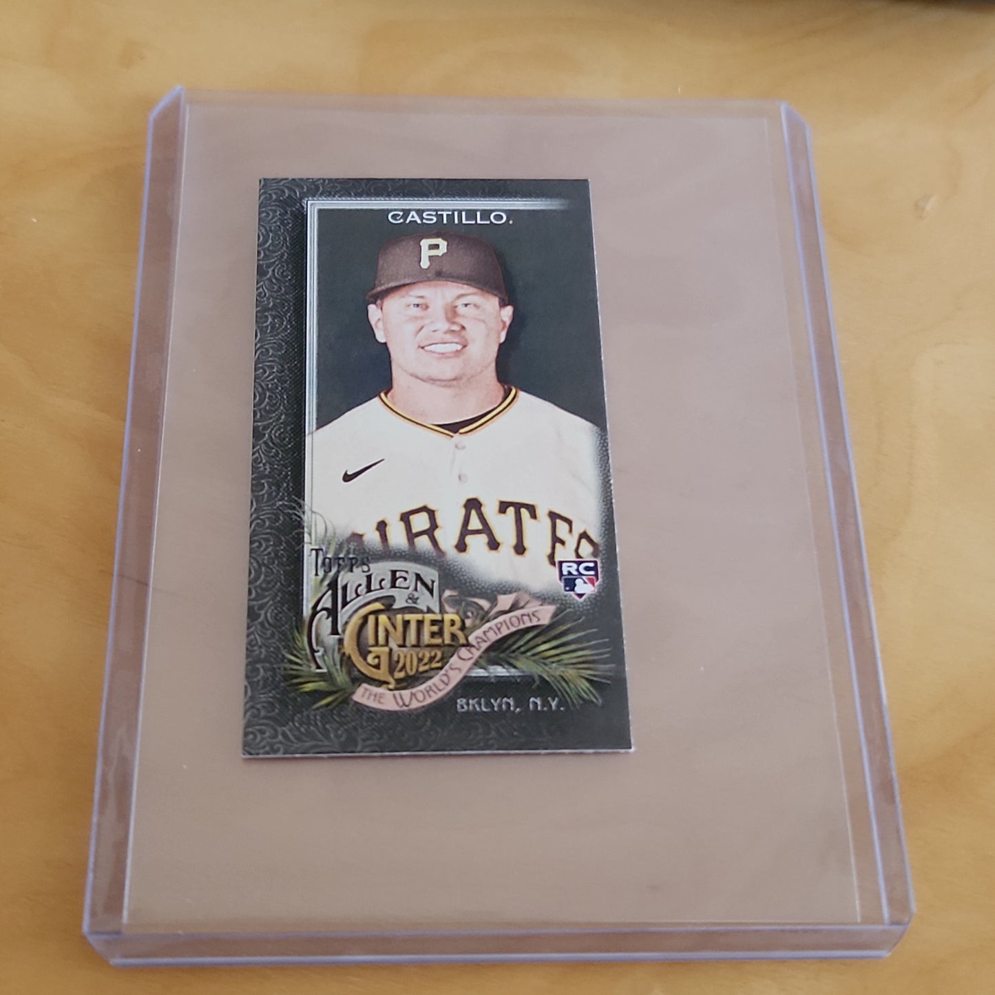 Topps Allen & Ginter Mini Diego Castillo #277