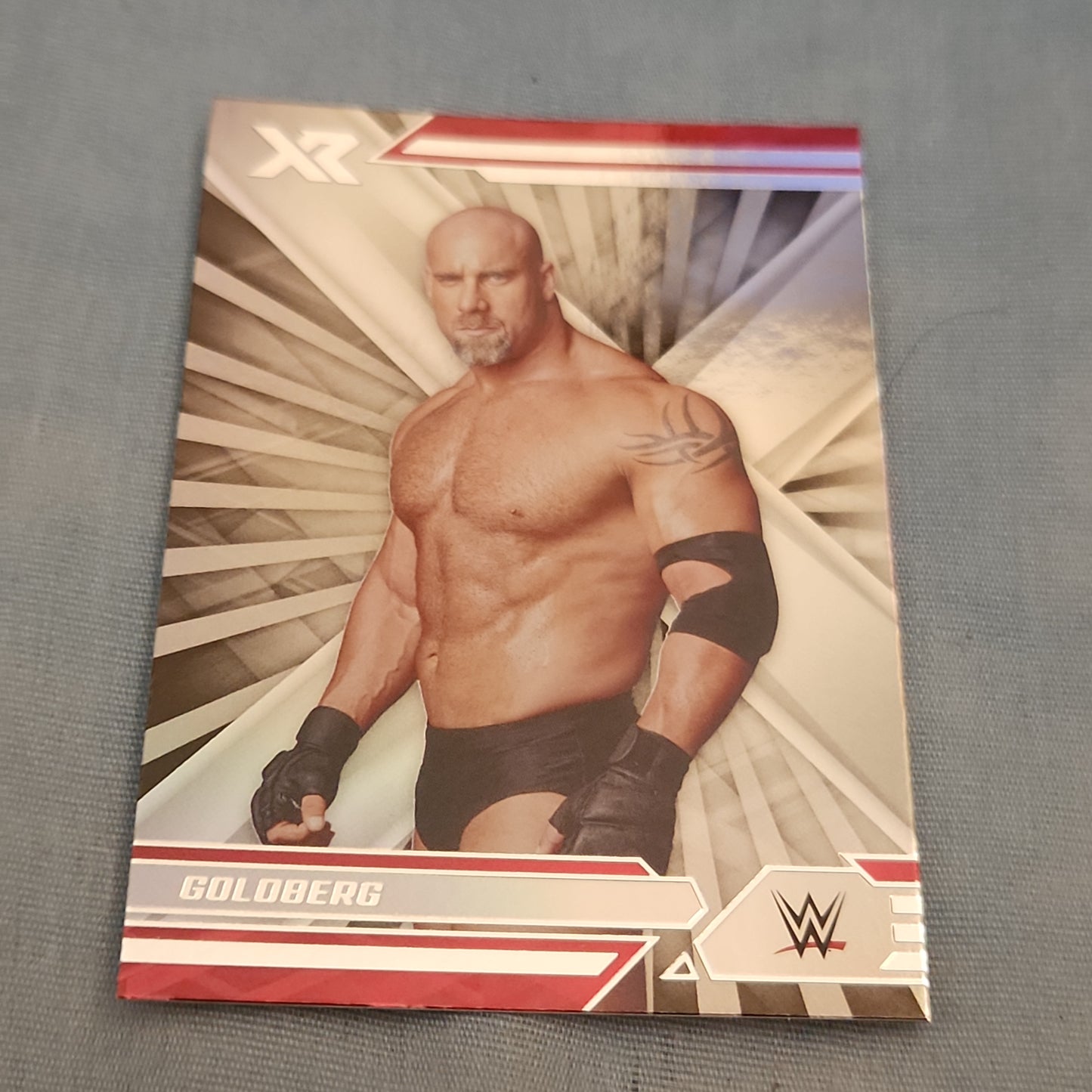 Panini XR Goldeberg #289