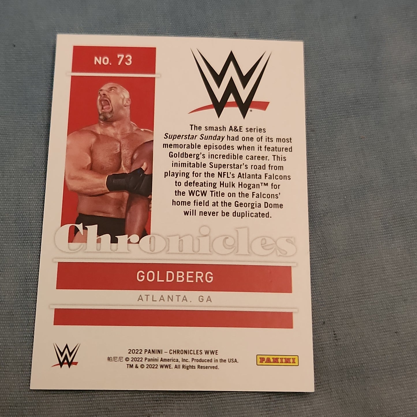 Panini Red Chronicles Goldeberg 091/199 #73